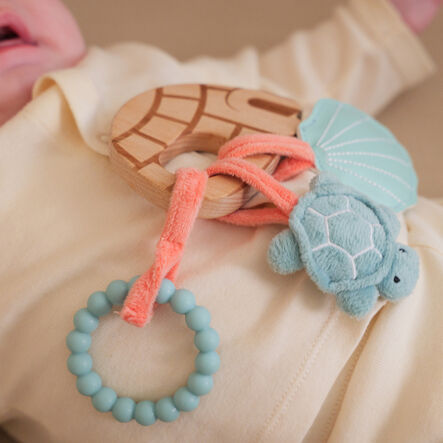 Oti\-Bot STEM Conservation Kit  hi\-res